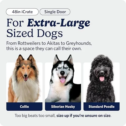 Midwest 48-Inch Single Door iCrate Review: Is It Right for Your Extra-Large Dog?
