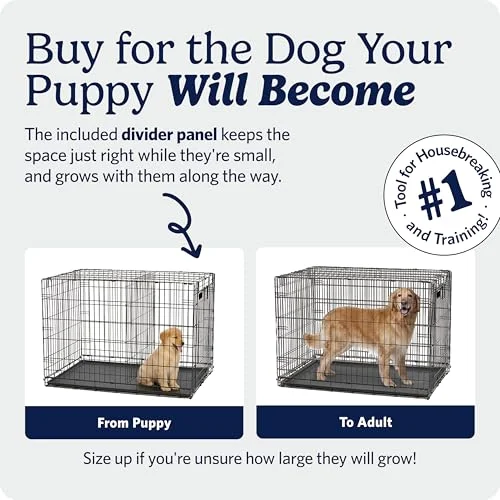 Midwest 48-Inch Single Door iCrate Review: Is It Right for Your Extra-Large Dog?