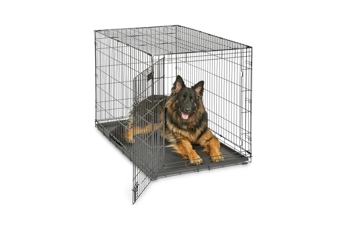 Midwest 48-Inch Single Door iCrate Review: Is It Right for Your Extra-Large Dog?